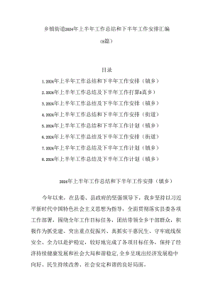 （8篇）乡镇街道2024年上半年工作总结和下半年工作安排汇编.docx