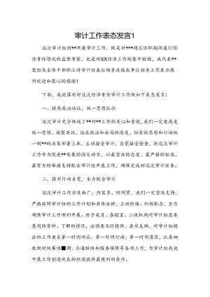 审计工作表态发言2篇.docx