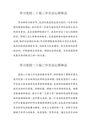 学习2024年党的二十届三中全会个人心得体会 （汇编10份）.docx