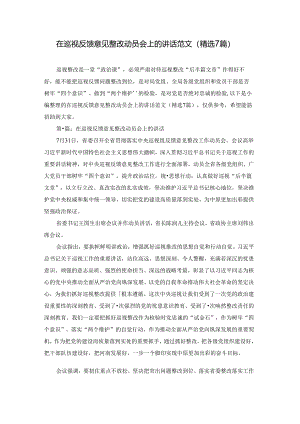 在巡视反馈意见整改动员会上的讲话范文(精选7篇).docx