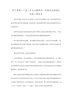 学习贯彻二十届三中全会精神进一步推进全面深化改革心得体会.docx
