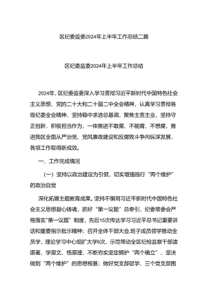 区纪委监委2024年上半年工作总结二篇.docx