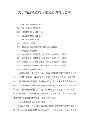 关于某县精致城市建设的调研与思考.docx