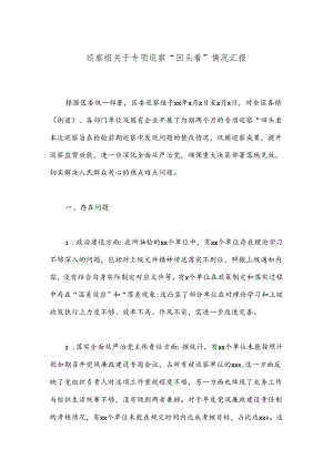 巡察组关于专项巡察“回头看”情况汇报.docx