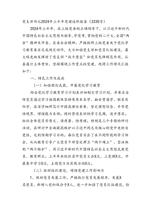 党支部书记2024年上半年党建述职报告（3330字）.docx