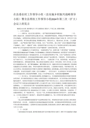 在县委农村工作领导小组（县实施乡村振兴战略领导小组）暨全县帮扶工作领导小组2024年第三次（扩大）会议上的发言.docx