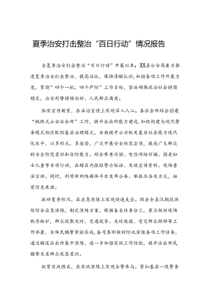 公安2024年扎实开展夏季治安打击整治“百日行动”工作总结6篇.docx