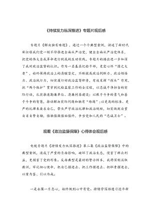 《持续发力纵深推进》专题片观后感（共10篇）汇编.docx