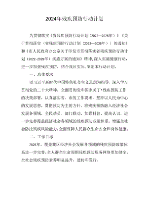 2024年残疾预防行动计划.docx