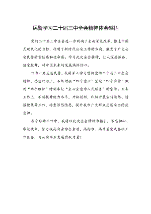 民警学习二十届三中全会精神体会感悟.docx