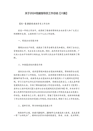 关于2024党建指导员工作总结【六篇】.docx