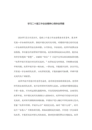 学习二十届三中全会精神心得体会两篇.docx