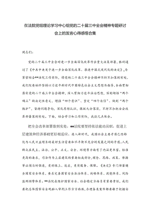 在法院党组理论学习中心组党的二十届三中全会精神专题研讨会上的发言心得感悟合集.docx