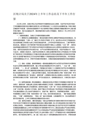 区统计局关于2024年上半年工作总结及下半年工作打算.docx