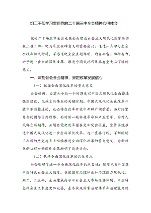 组工干部学习贯彻党的二十届三中全会精神心得体会.docx