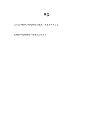 2024县委关于组织系统巡视巡察整改工作进展情况汇报和在组织部巡视整改专题会议上的讲话.docx