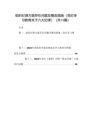 组织纪律方面存在问题及整改措施(党纪学习教育关于六大纪律)（共13篇）.docx