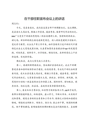 在干部任职宣布会议上的讲话.docx