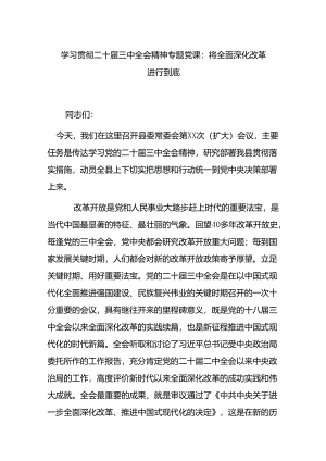 学习贯彻二十届三中全会精神专题党课：将全面深化改革进行到底.docx
