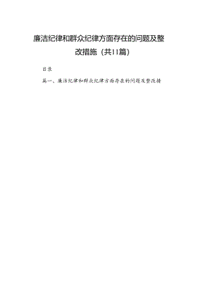 （11篇）廉洁纪律和群众纪律方面存在的问题及整改措施范文.docx