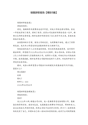 销售辞职报告【精彩5篇】.docx