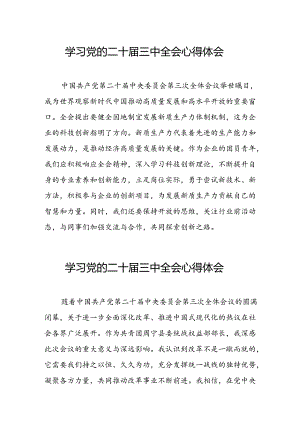 2024年学习党的二十届三中全会个人心得体会 汇编13份.docx