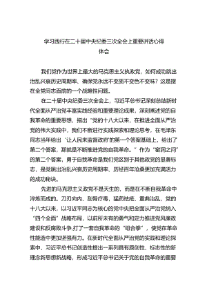 学习践行在二十届中央纪委三次全会上重要讲话心得体会10篇（详细版）.docx