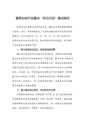 十八篇公安2024年开展夏季治安打击整治行动情况报告.docx