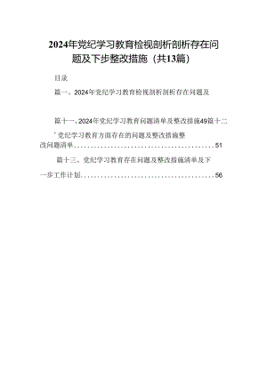 2024年党纪学习教育检视剖析剖析存在问题及下步整改措施13篇（详细版）.docx