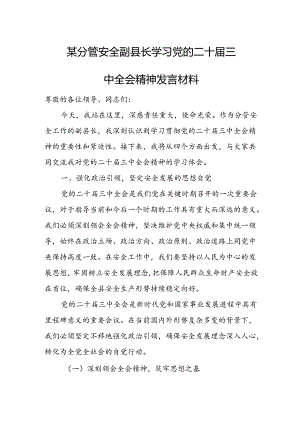 某分管安全副县长学习党的二十届三中全会精神发言材料.docx
