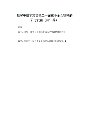 10篇基层干部学习贯彻二十届三中全会精神的研讨发言（详细版）.docx