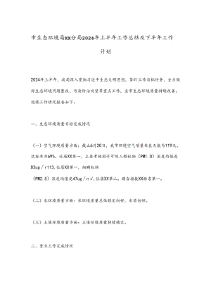 市生态环境局xx分局2024年上半年工作总结及下半年工作计划.docx