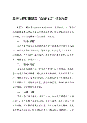 2024年公安机关夏夜治安巡查宣防集中统一行动开展情况报告十四篇.docx
