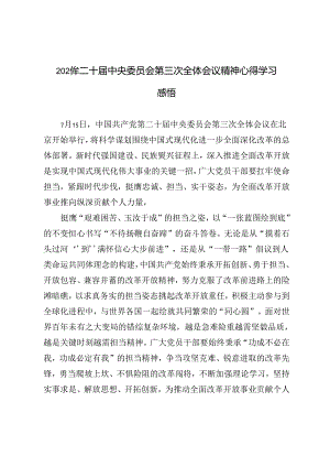 3篇范文 2024年二十届中央委员会第三次全体会议精神心得学习感悟.docx
