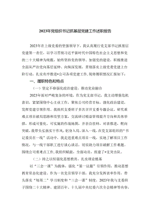 2023年党组织书记抓基层党建工作述职报告9篇（详细版）.docx