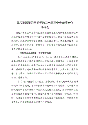 单位副职学习贯彻党的二十届三中全会精神心得体会.docx