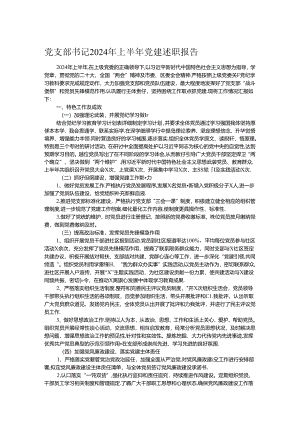 党支部书记2024年上半年党建述职报告.docx