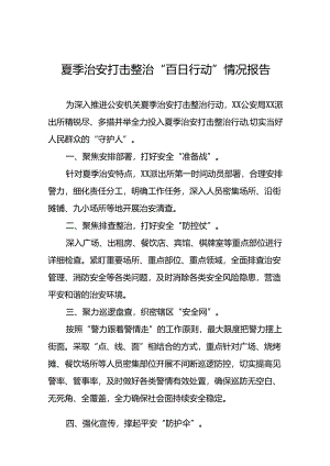 公安2024年扎实开展夏季治安打击整治“百日行动”工作总结(七篇).docx