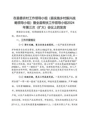 在县委农村工作领导小组（县实施乡村振兴战略领导小组）暨全县帮扶工作领导小组2024年第三次（扩大）会议上的发言.docx