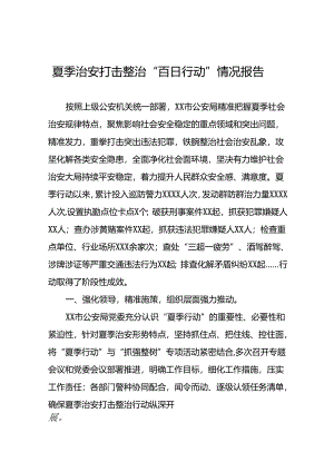 十二篇2024年公安夏季治安打击整治行动阶段性情况报告.docx