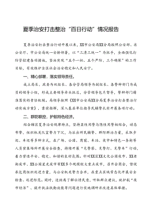 公安分局2024年夏季治安打击整治行动情况报告(七篇).docx
