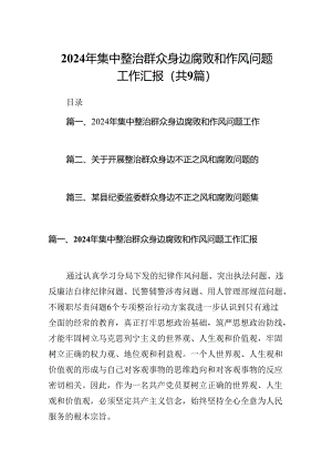 9篇2024年集中整治群众身边.docx