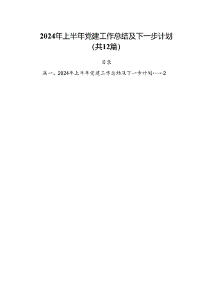 2024年上半年党建工作总结及下一步计划优选12篇.docx