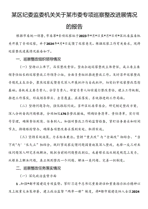 某区纪委监委机关关于某市委专项巡察整改进展情况的报告.docx