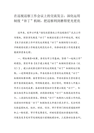 在巡视巡察工作会议上的交流发言.docx