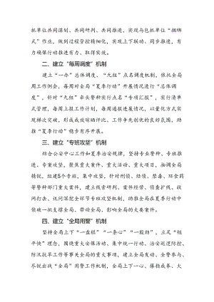 公安开展2024夏季治安打击整治清查行动工作总结十篇.docx
