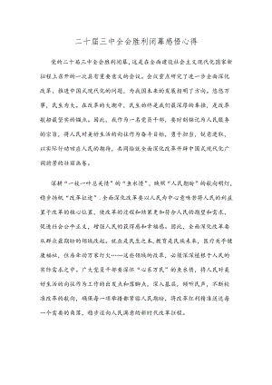 二十届三中全会胜利闭幕感悟心得.docx