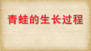 中班科学《青蛙的生长过程》PPT课件青蛙的生长过程.pptx