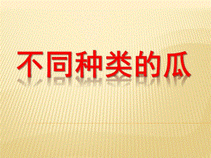 中班科学《不同种类的瓜》PPT课件不同种类的瓜.pptx