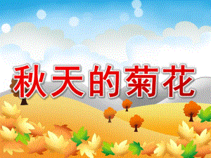 中班科学《天的菊花》PPT课件教案天的菊花.pptx